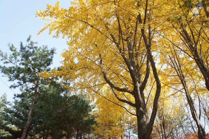고척근린공원 전경 6